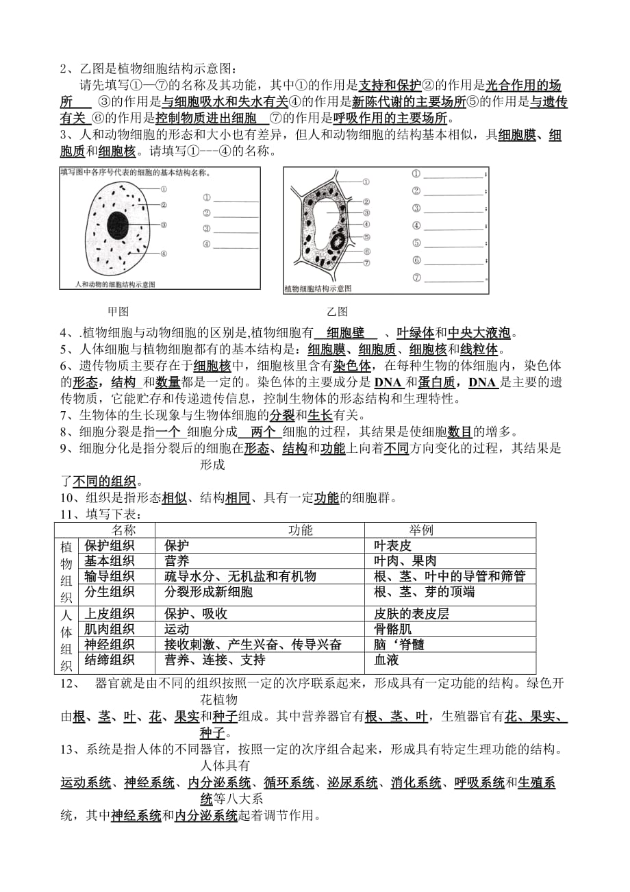 苏教版七年级生物上学期知识点汇总.doc_第2页