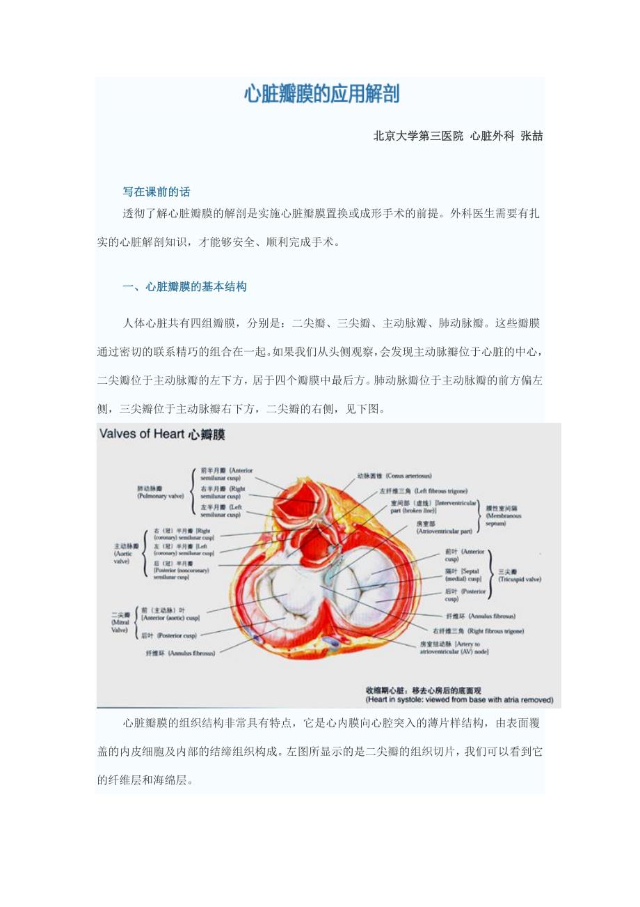 1心脏瓣膜的应用解剖资料_第1页
