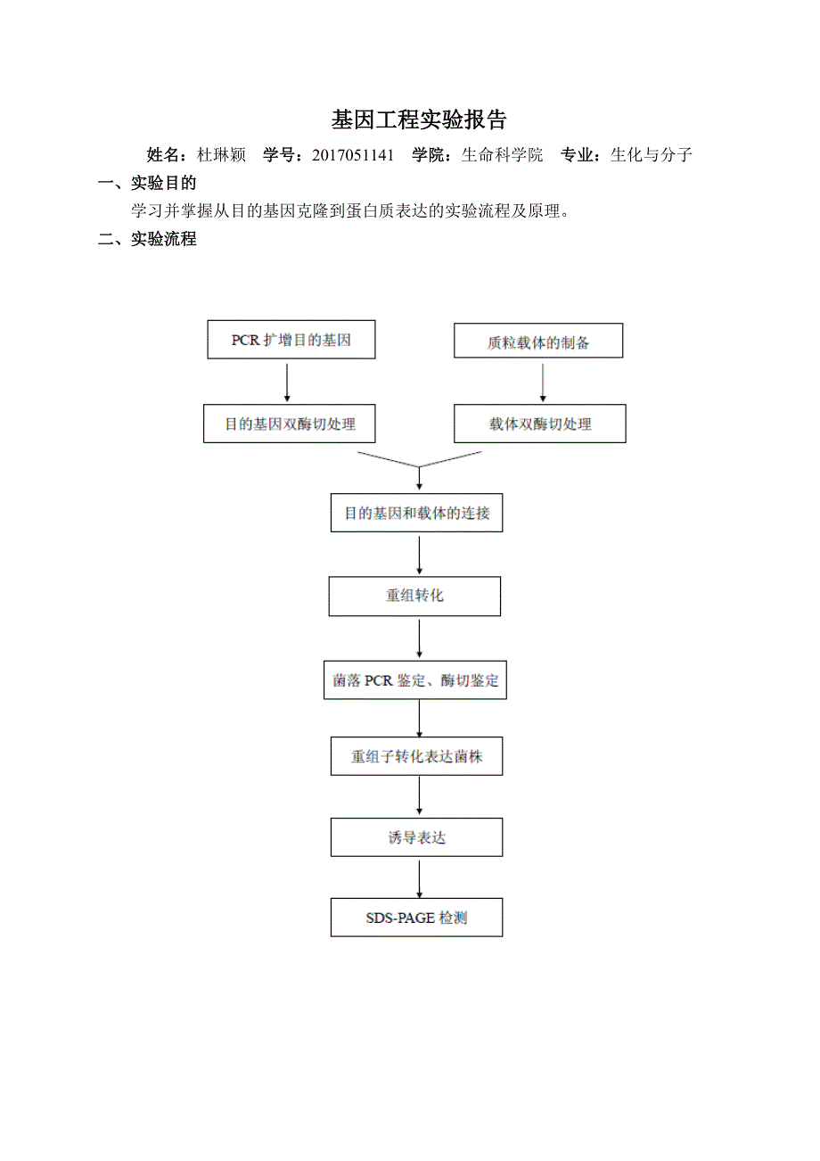 基因工程实验报告资料_第1页