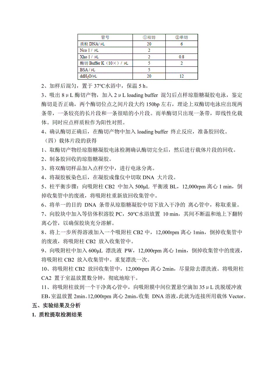 基因工程实验报告资料_第4页