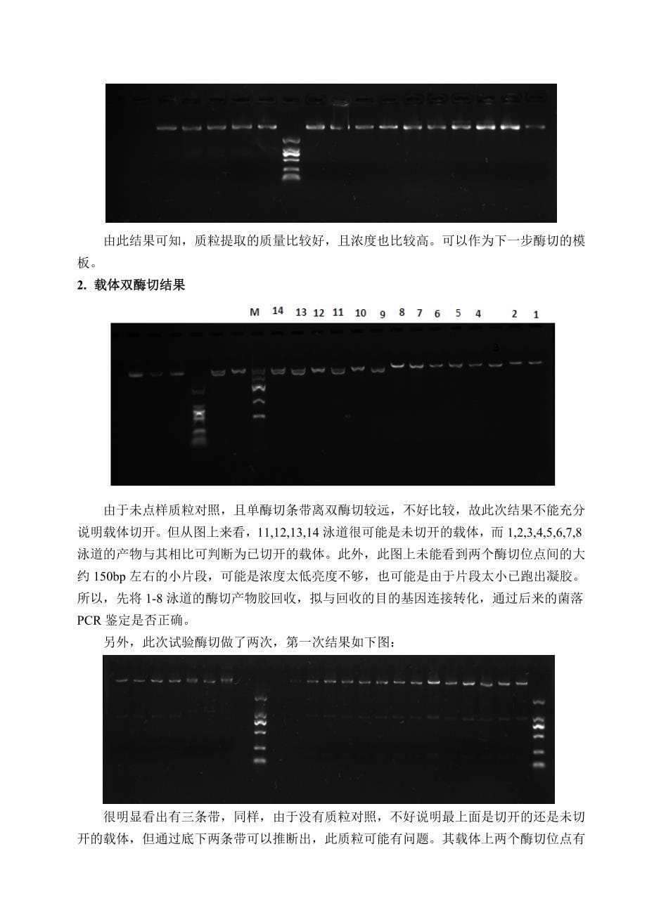 基因工程实验报告资料_第5页