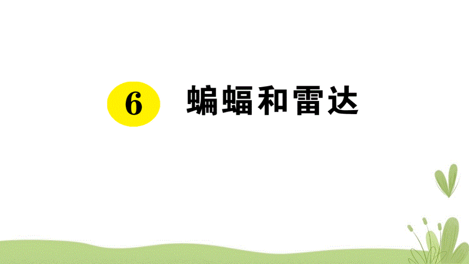 部编版（统编）小学语文四年级上册第二单元《6 蝙蝠和雷达》练习课件PPT_第1页