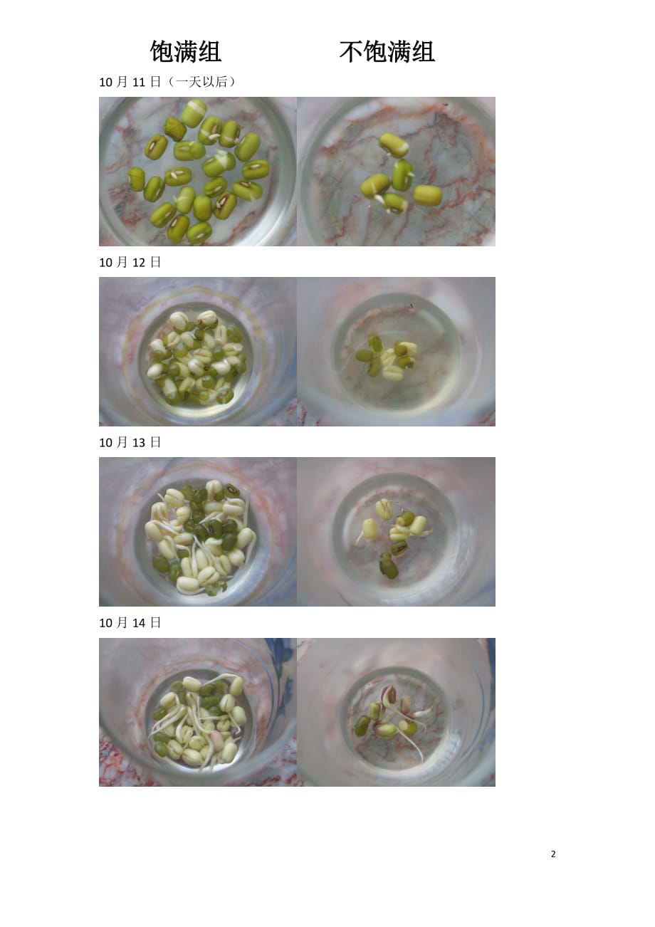 影响绿豆芽生长情况的条件研究资料_第2页
