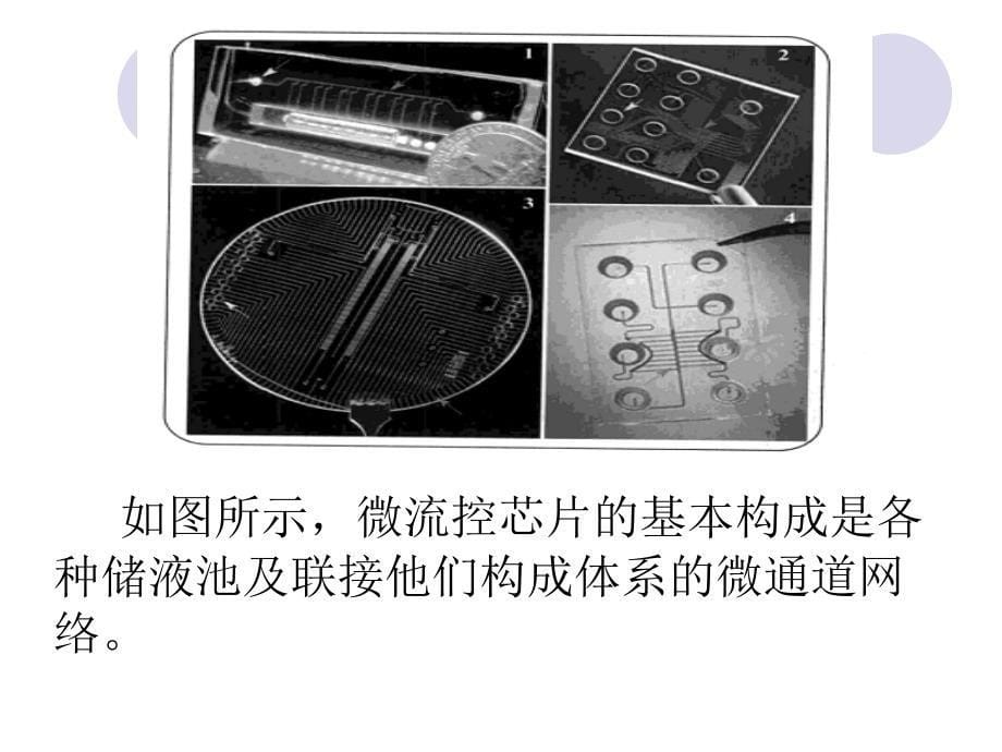 图解微流控芯片实验室资料_第5页