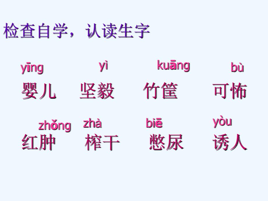 语文人教版四年级下册28父亲的菜园-教学课件_第3页