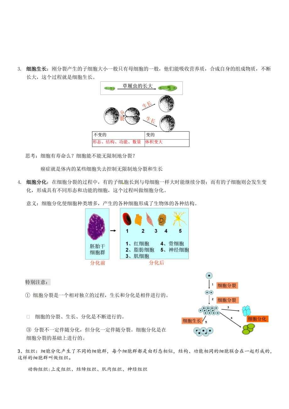 浙教版科学七年级上第二章生物体的结构层次.doc_第2页