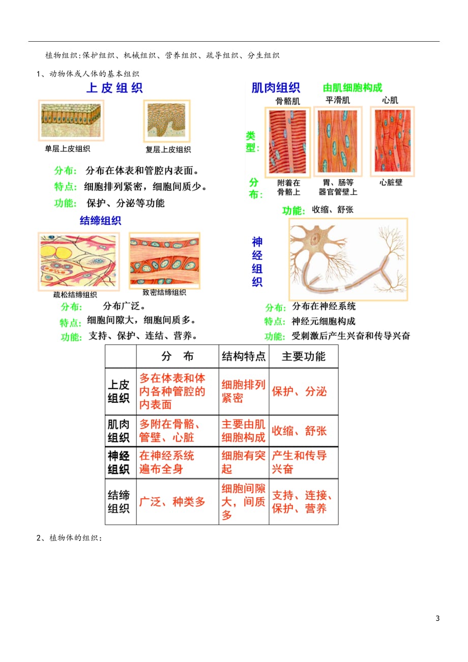 浙教版科学七年级上第二章生物体的结构层次.doc_第3页