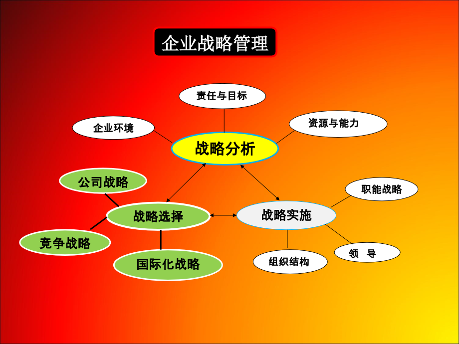 企业战略管理杨锡怀第三版第五章企业战略管理资料_第4页