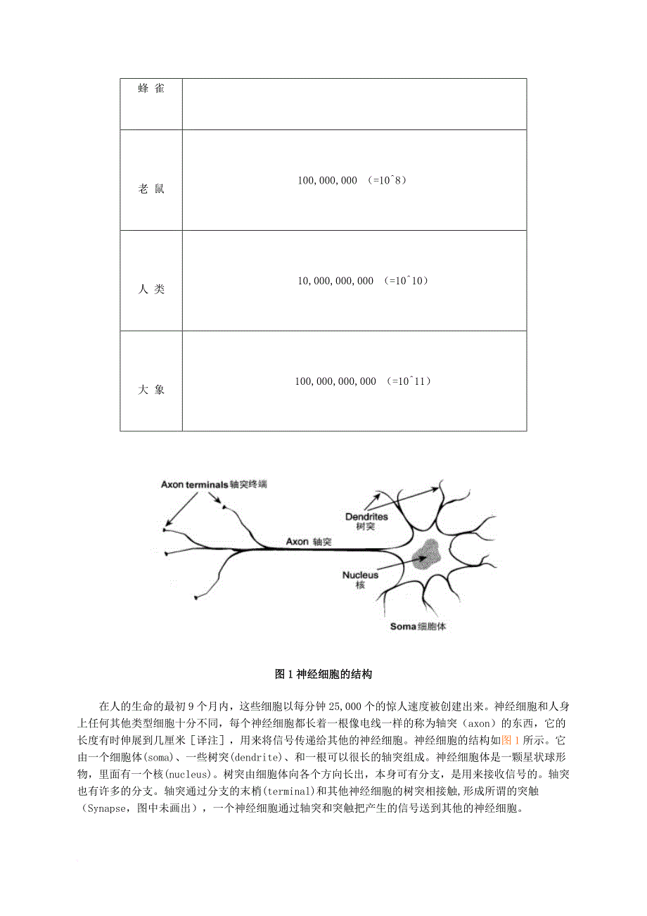 用平常语言介绍神经网络.doc_第3页