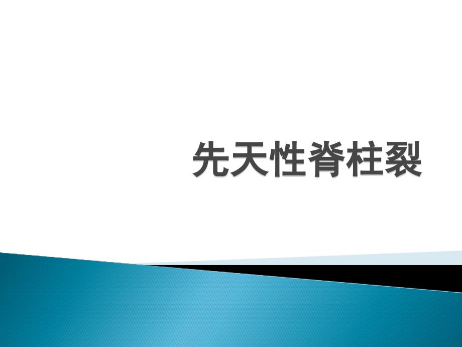 先天性脊柱裂资料_第1页