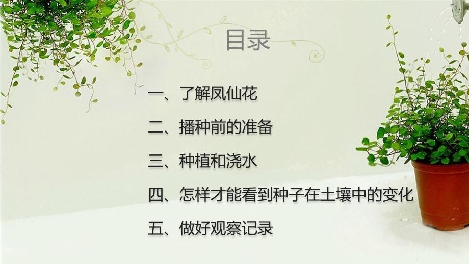 小学科学教科版三年级种植我们的植物资料_第2页