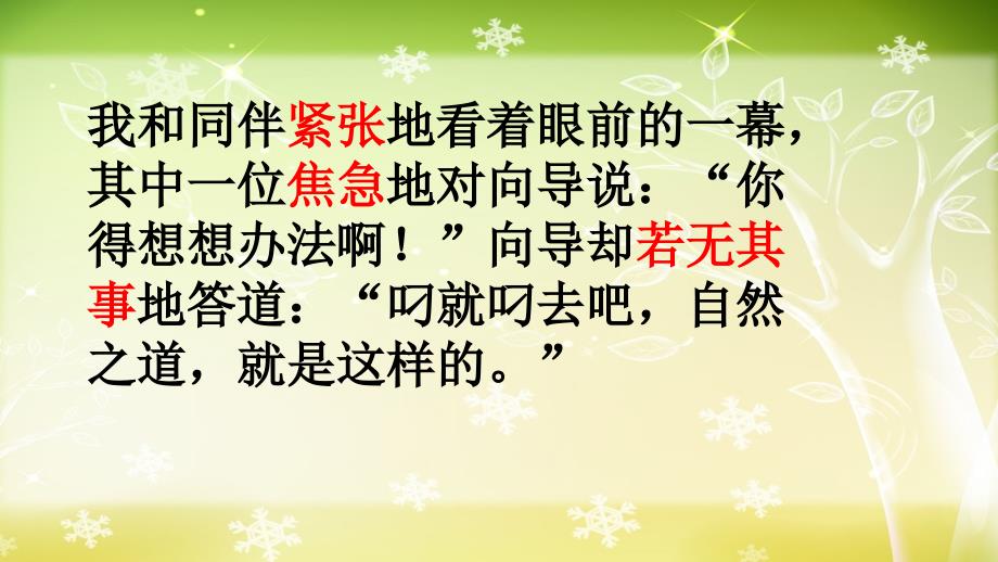 语文人教版四年级下册自然之道课件第二课时_第3页