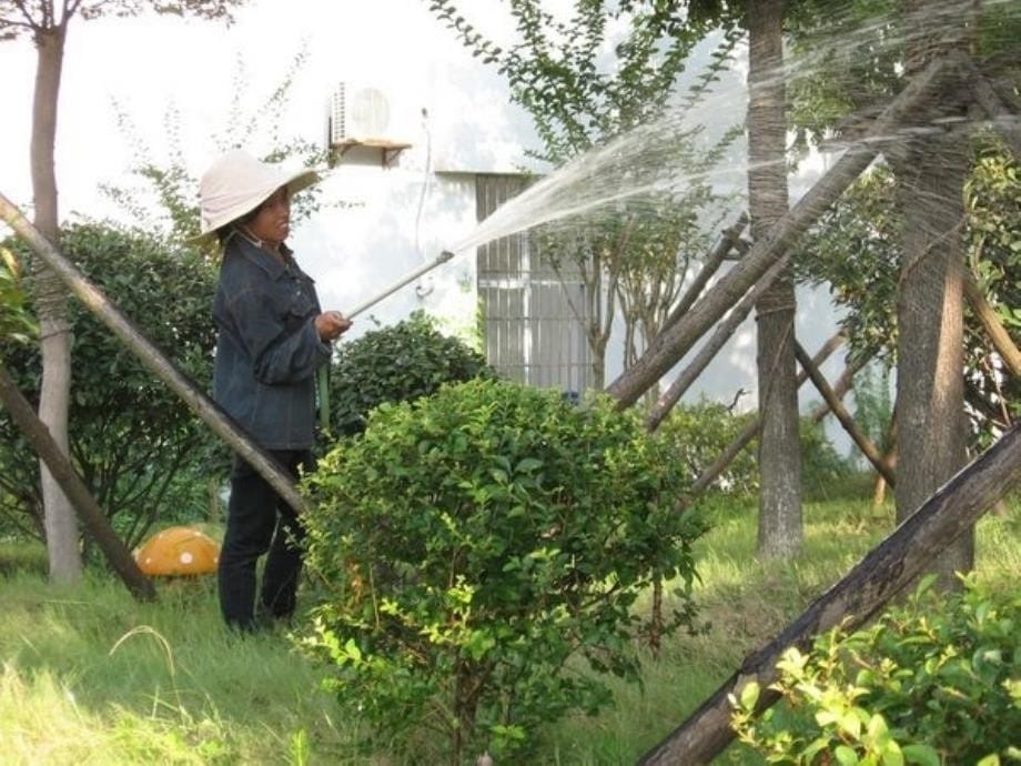 大班社会宝贵的水课件资料_第5页