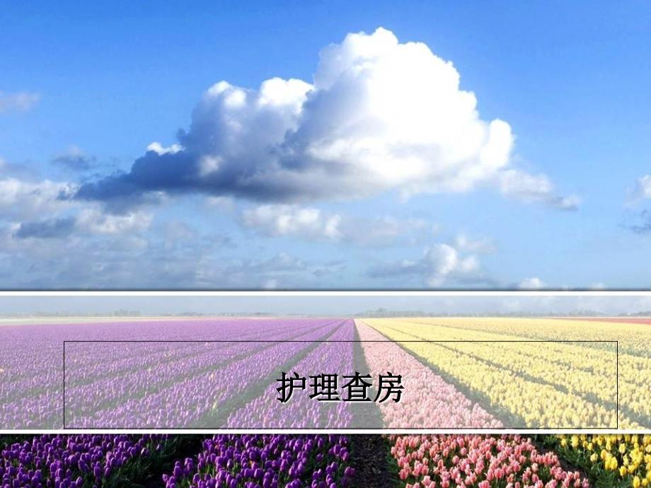 呼吸衰竭伴失禁性皮炎护理查房资料_第1页