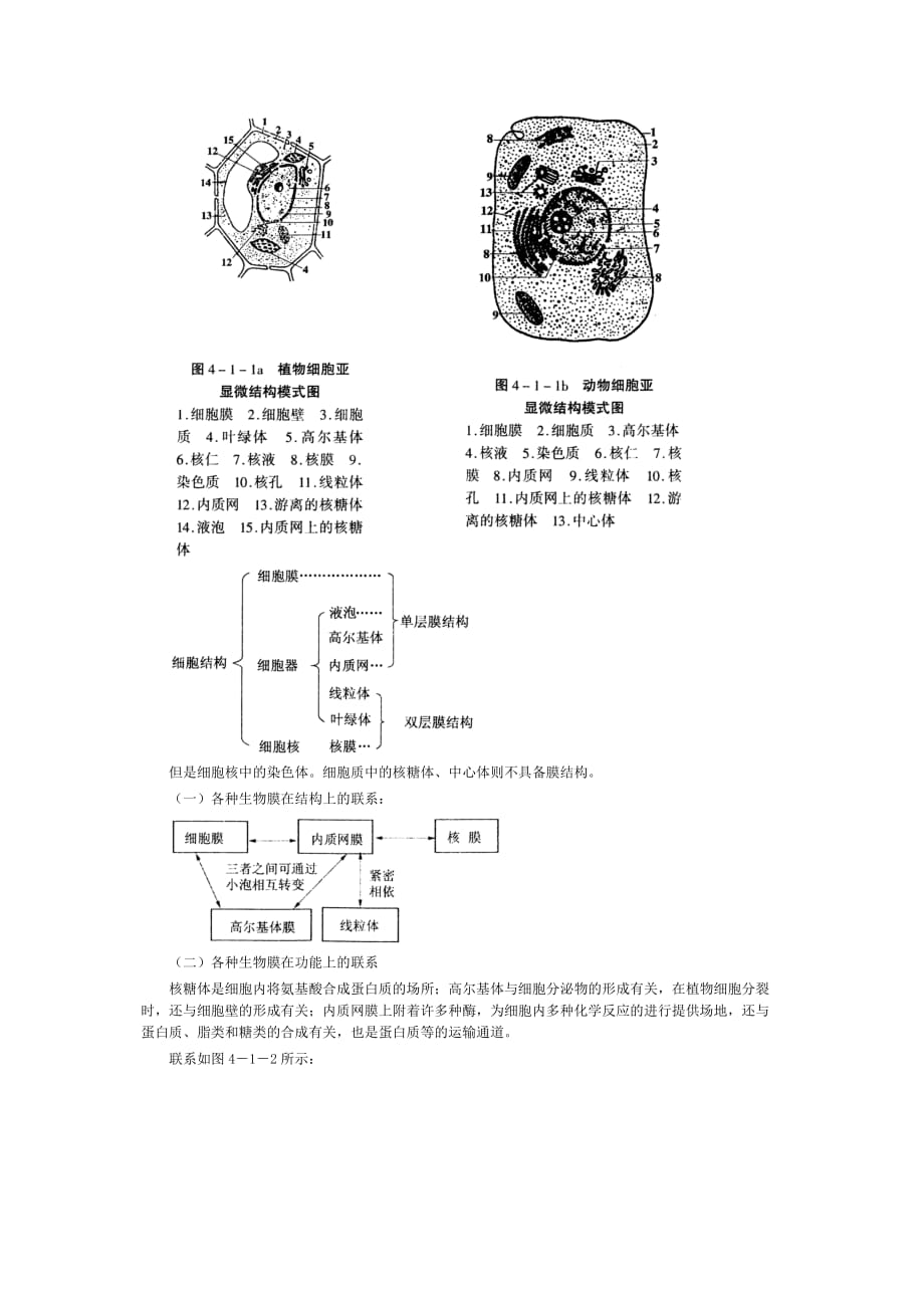 细胞的生物膜系统(精)_第2页