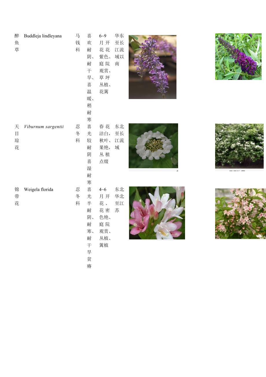 常见植物图片和简介资料_第2页