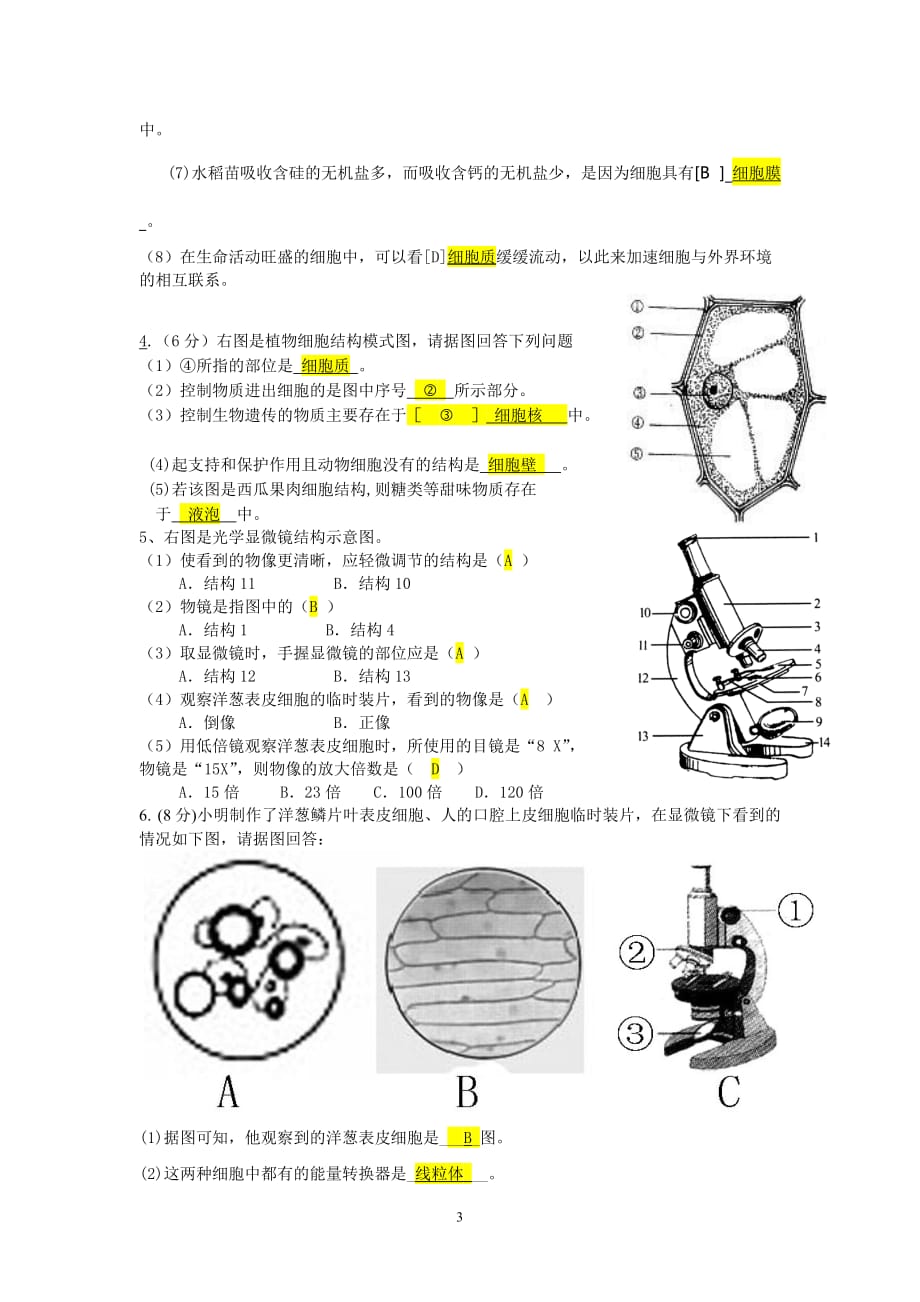 新人教版七年级生物上册识图题.doc_第3页