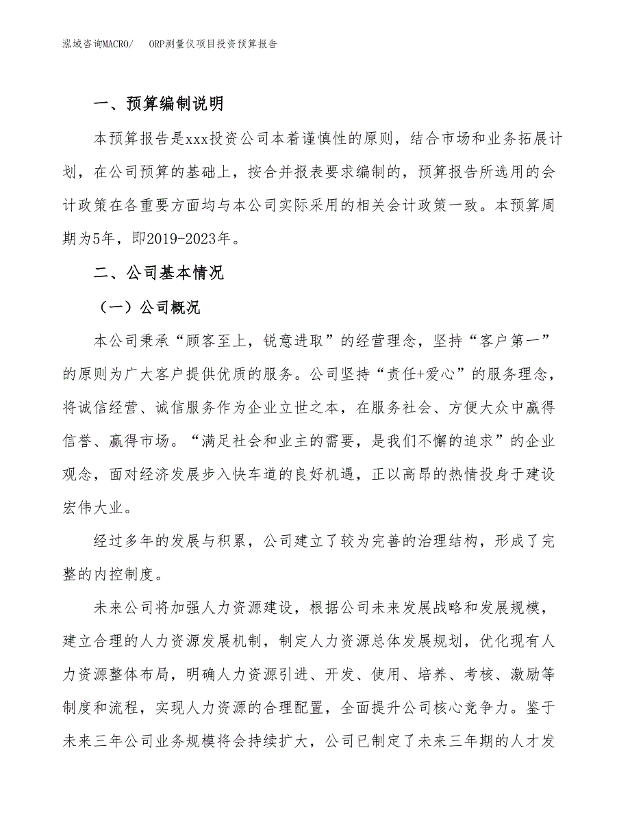 ORP测量仪项目投资预算报告_第2页