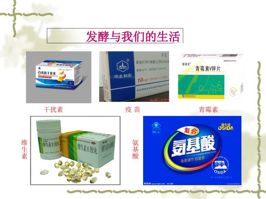 发酵工程知识讲座PPT_第3页