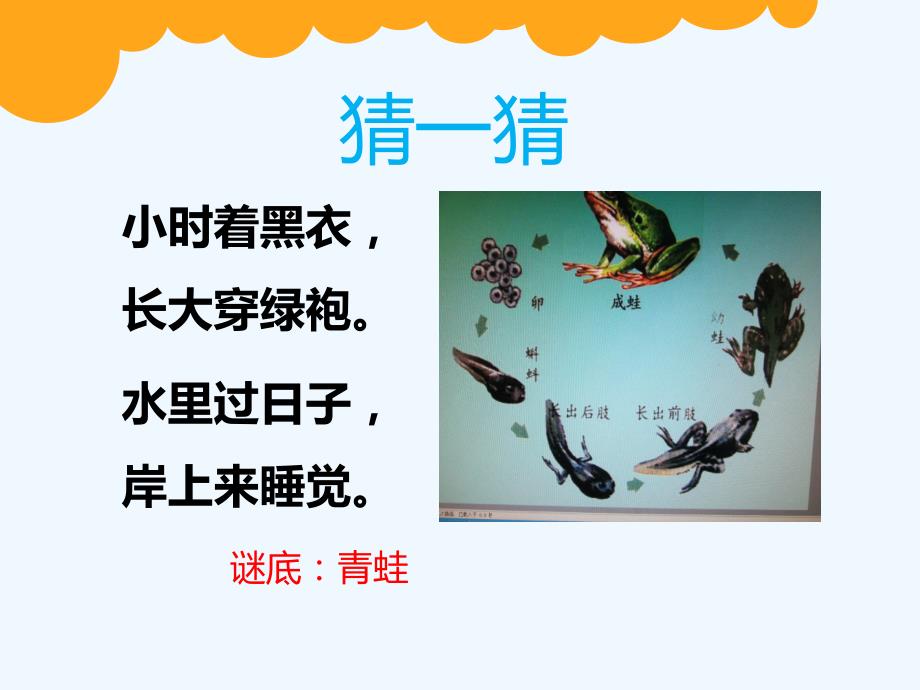 数学北师大版二年级下册新北师大版二年级数学下册第五单元《小蝌蚪的成长》课件_第2页