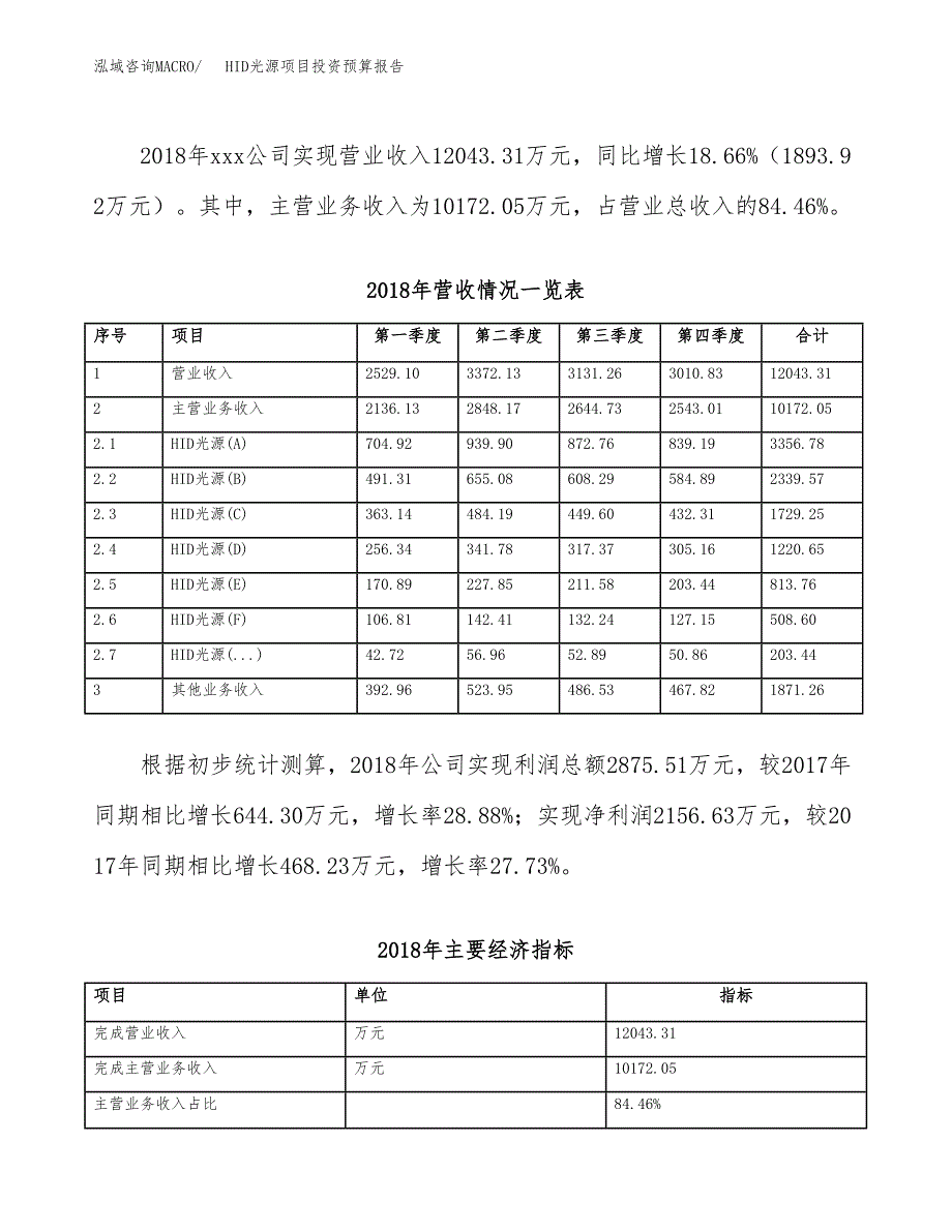 HID光源项目投资预算报告_第3页