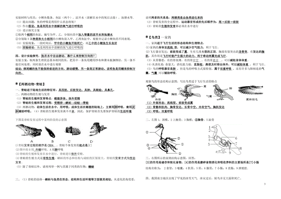 最新人教版八上生物简答看图题.doc_第3页