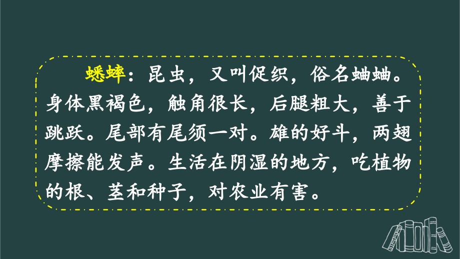 部编版（统编）小学语文四年级上册第三单元《11 蟋蟀的住宅》教学课件PPT1_第4页