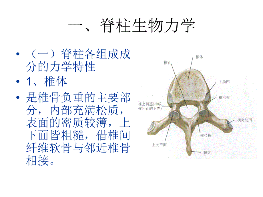 第三节脊柱运动资料_第4页