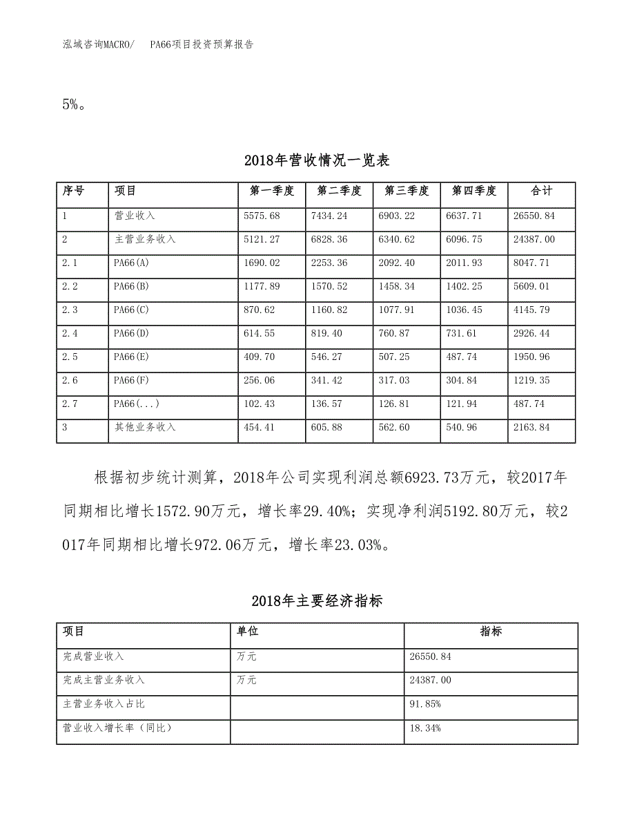 PA66项目投资预算报告_第3页