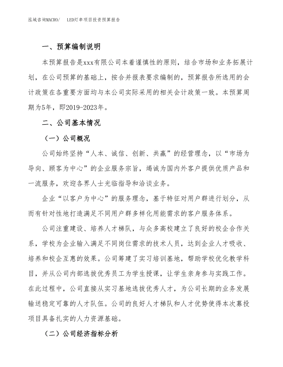 LED灯串项目投资预算报告_第2页