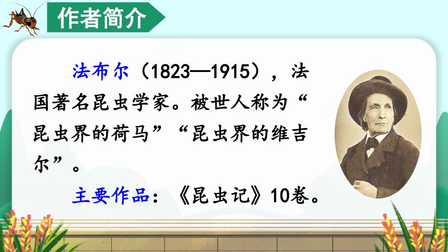 部编版（统编）小学语文四年级上册第三单元《11 蟋蟀的住宅》教学课件PPT2_第3页