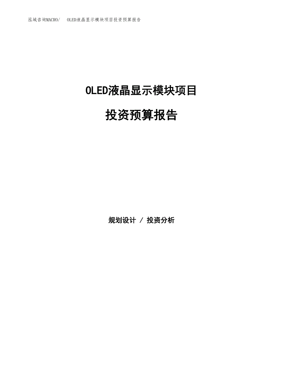 OLED液晶显示模块项目投资预算报告_第1页