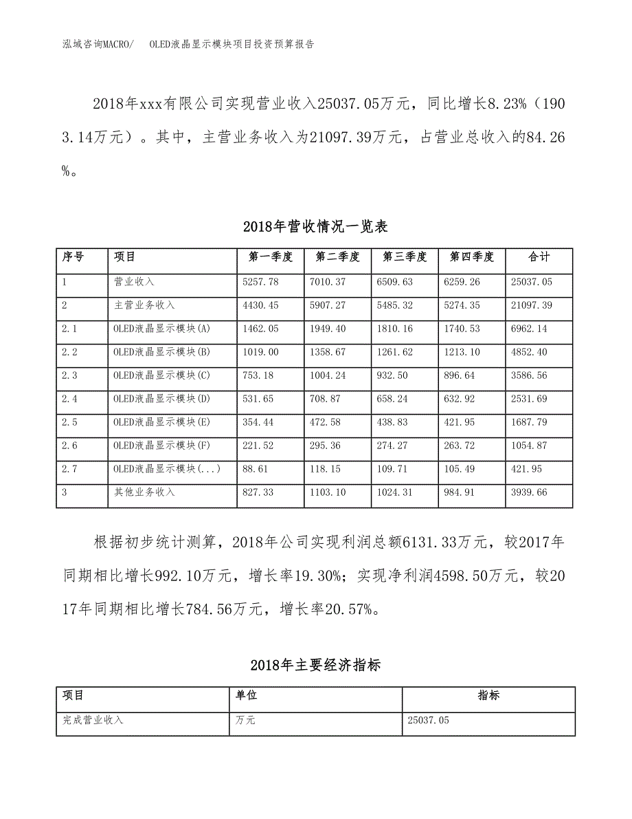 OLED液晶显示模块项目投资预算报告_第3页