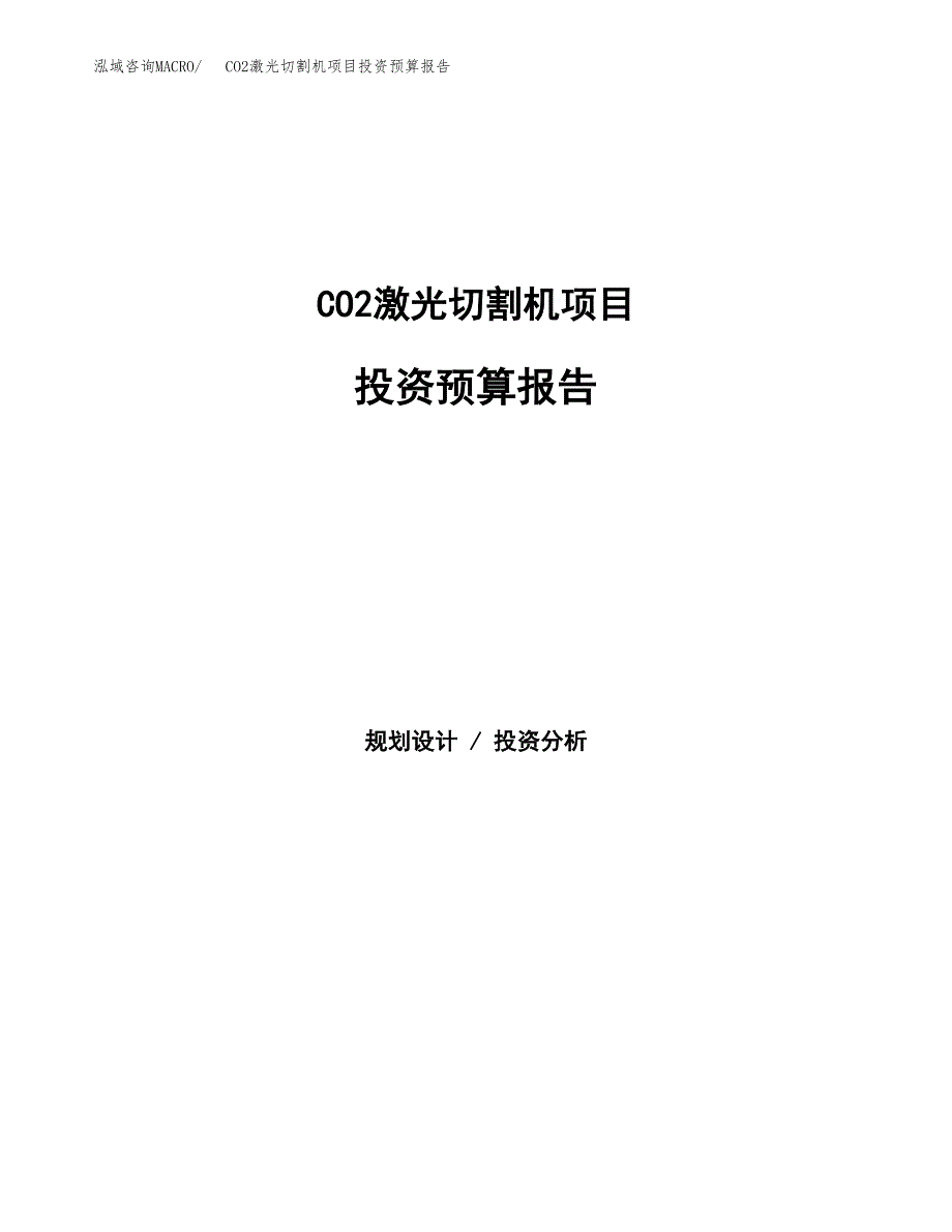 CO2激光切割机项目投资预算报告_第1页