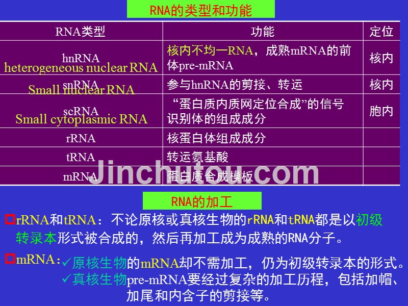 第8章rna转录后的加工资料_第4页