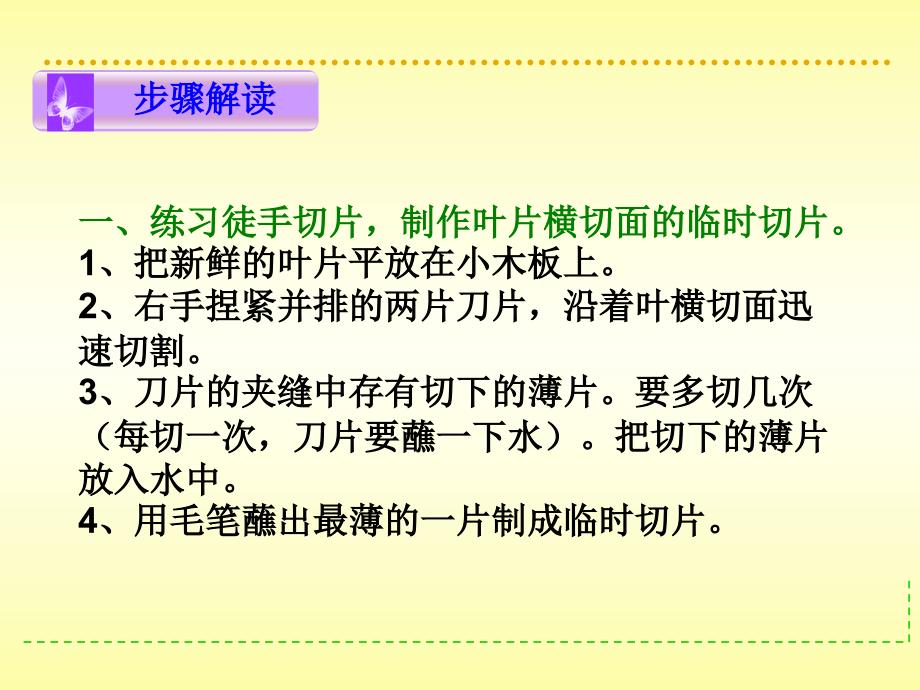 观察叶片的结构资料1_第4页