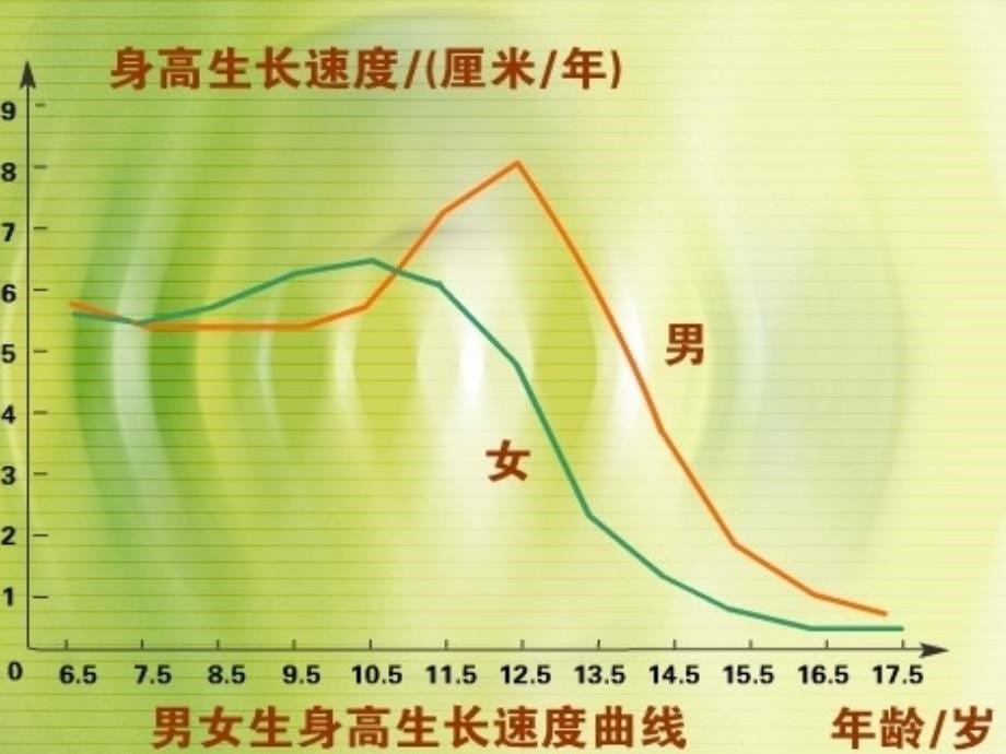 发展心理学第八章中学生心理的发展_第5页