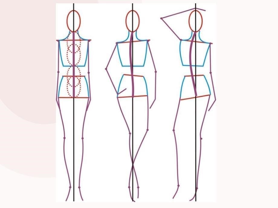 服装画技法绘制人体基本结构与比例资料_第5页