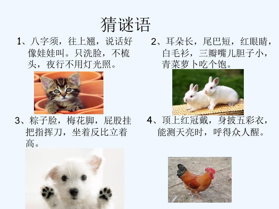 语文人教版四年级上册最喜欢的小动物_第1页
