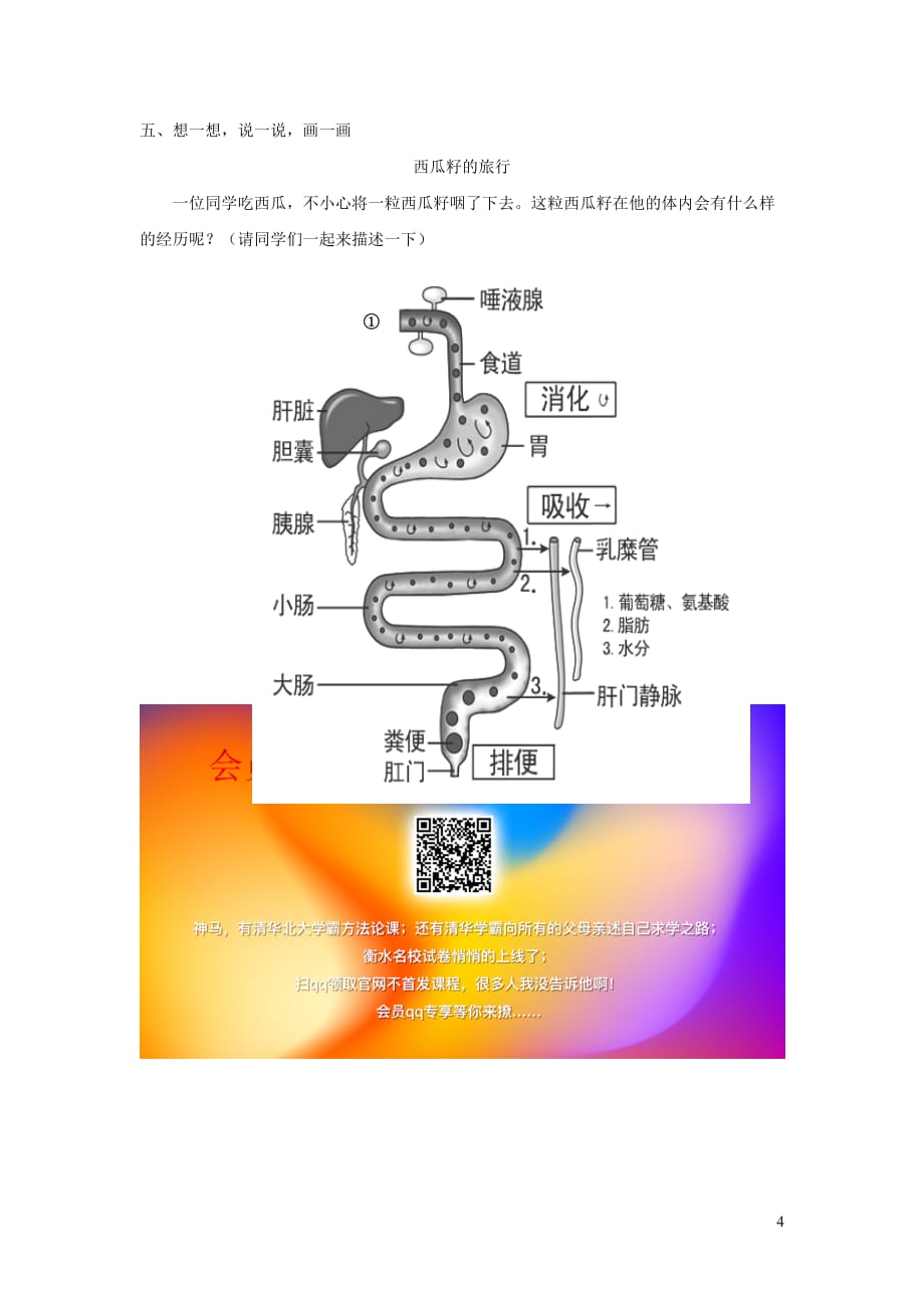 七年级生物上册 4.2.2《消化和吸收》学案（无答案） 鲁科版五四制_第4页