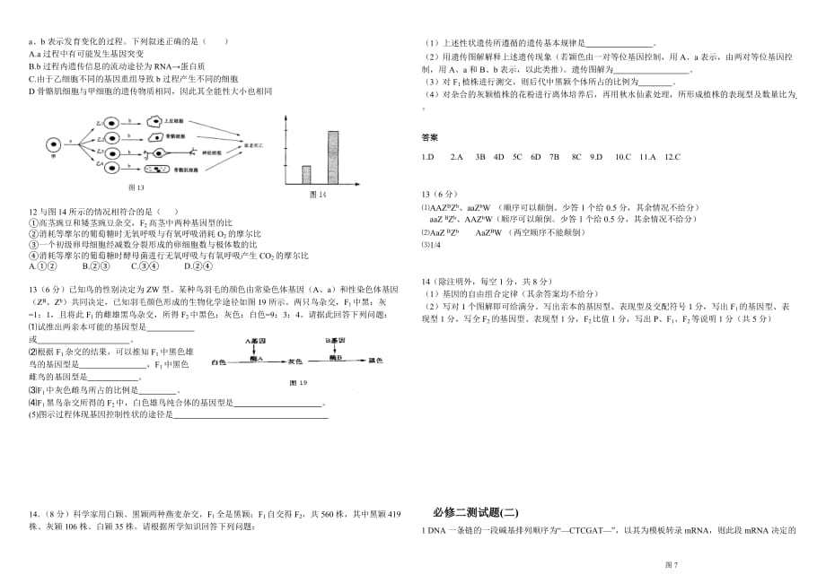 必修二生物经典题.doc_第2页