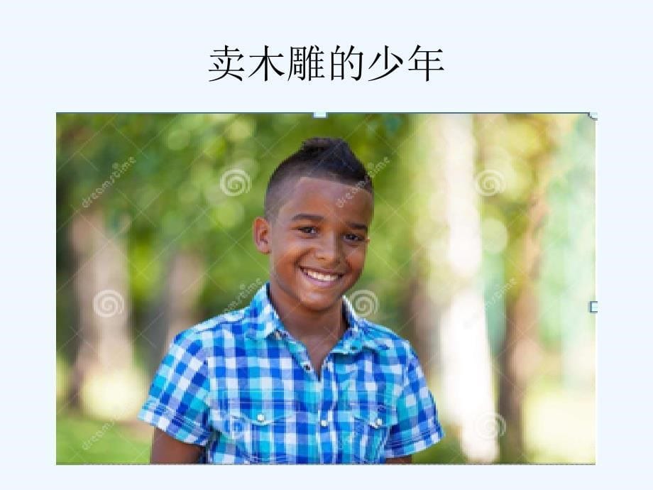 人教版语文三年级下册卖木雕的少年.卖木雕的少年_第5页