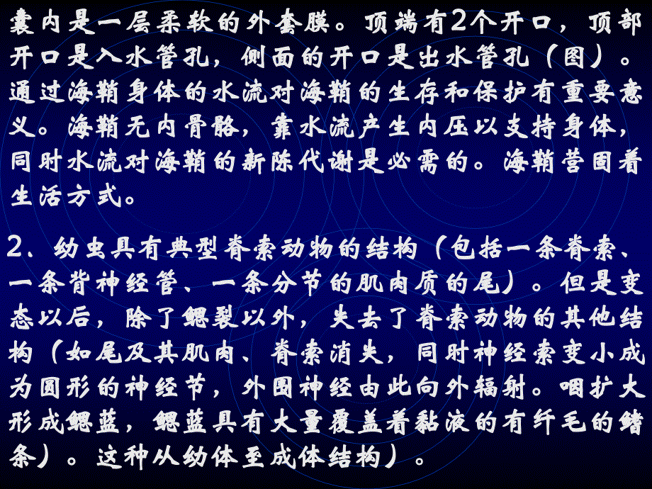 第一节 原索动物之一&mdash;尾索动物亚门（Urochordata）尾索动...的_第2页