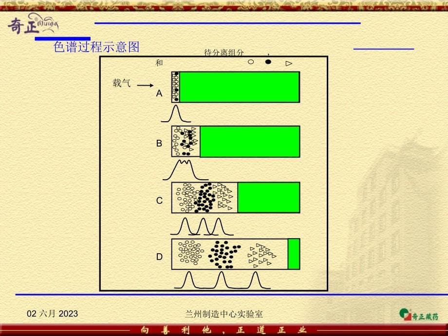 安捷伦气相色谱基础_第5页