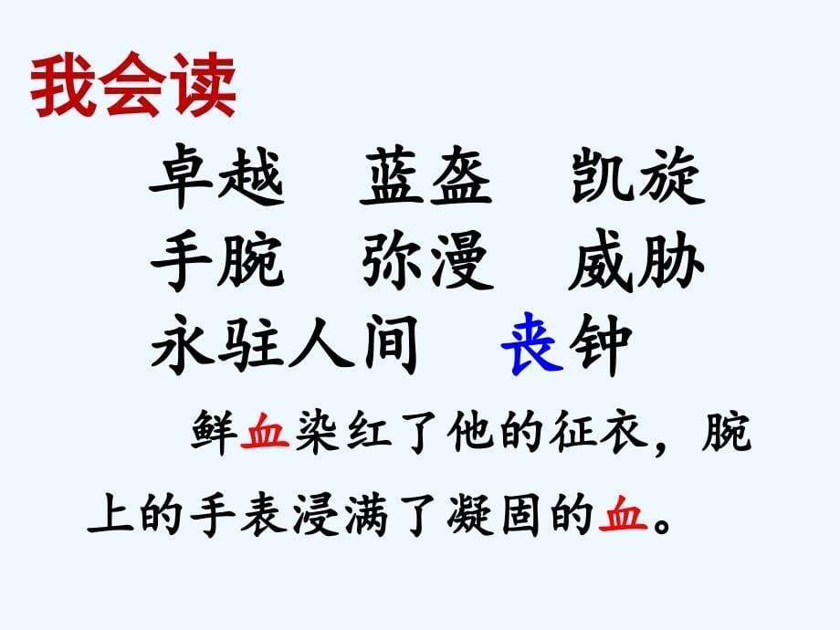 四年级人教版语文下册15　一个中国孩子的呼声课件_第5页