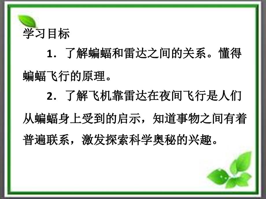 四年级人教版语文下册《蝙蝠与雷达》课件_第4页