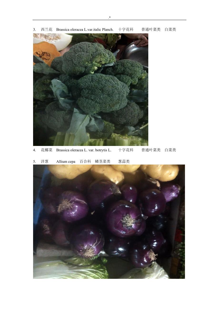 40常见蔬菜及其分类配图_第2页