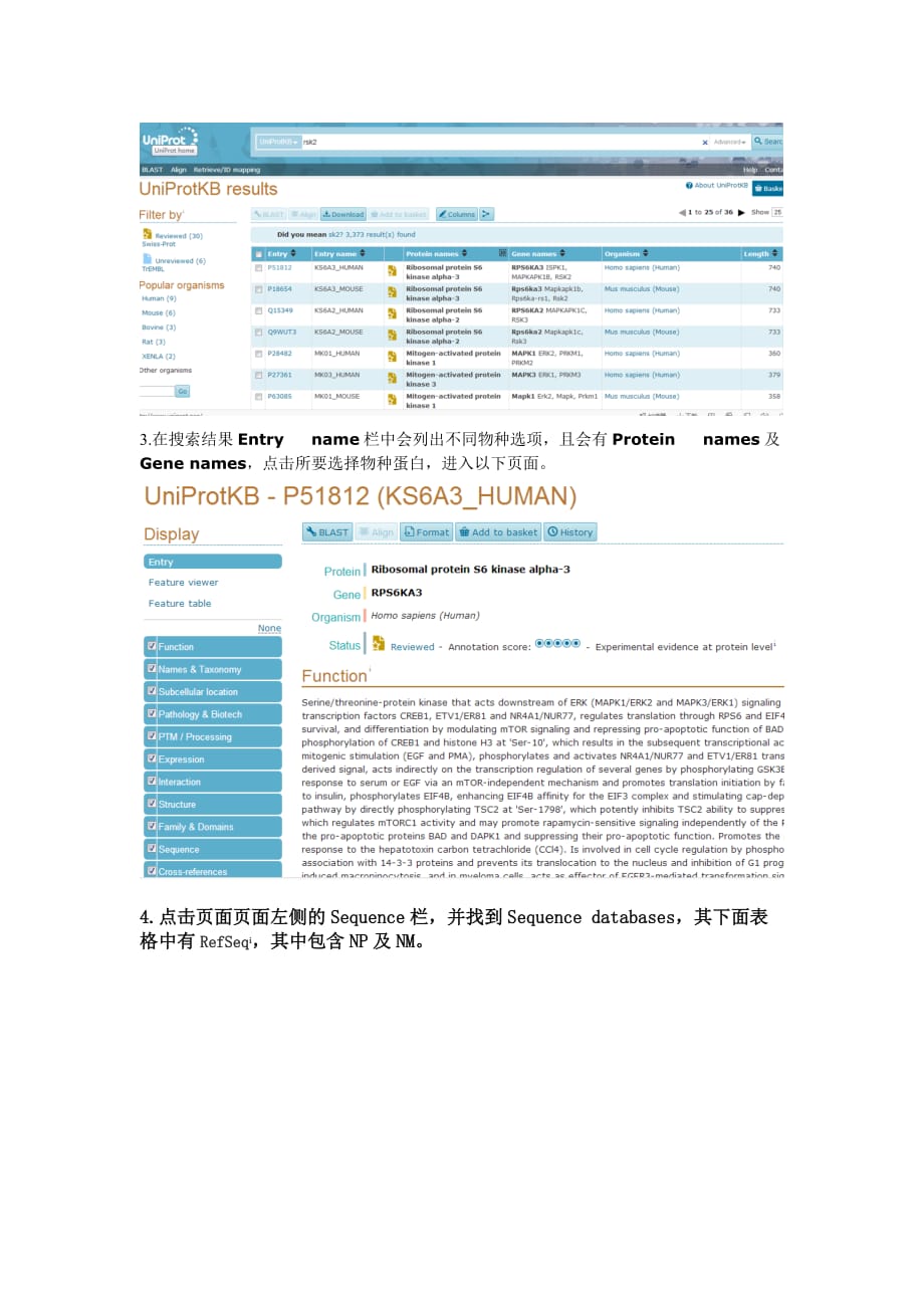 如何用ncbi和uniprot数据库查找目的蛋白的氨基酸序列或目的基因的碱基序列(mrna序列).doc_第4页