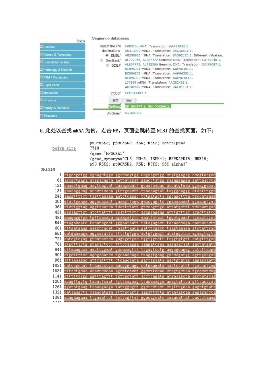 如何用ncbi和uniprot数据库查找目的蛋白的氨基酸序列或目的基因的碱基序列(mrna序列).doc_第5页