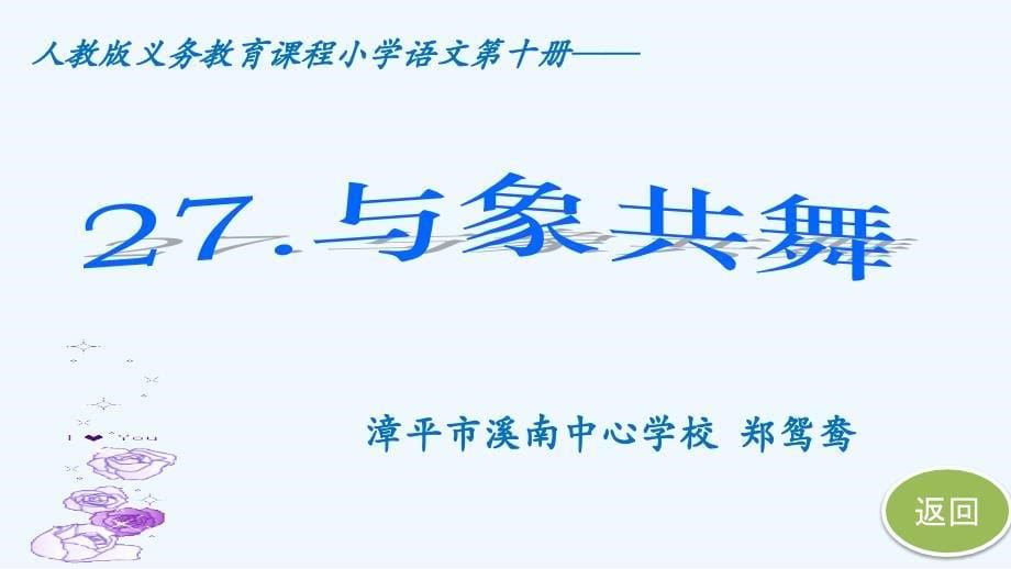 人教版语文五年级下册与象共舞教学课件_第5页